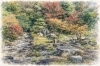 常信寺庭園「🌿 日本の庭：浄信寺庭園」