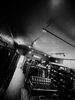 「2026.1.5 mon  STYLE FACTORY SHOP OPEN」
