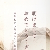 魚沼市/南魚沼市/長岡市のベビーシッターおかなさん/新年の挨拶
