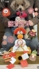 「今年も宜しく^_^【楽しさ満点！大人も子供も未経験者もOK！社交ダンス教室/クイーンダンス教室/松山市/立花】」