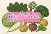 野菜は八王子産！野菜を買うなら802SKYSHOP「お待たせしました。1/6火曜日より八王子産野菜が本格的に入荷スタート！　野菜の入荷が始まると2026年もはじまったなと実感します。八王子産野菜　八王子お土産　802SKYSHOP 八王子のもの　八王子」