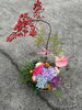 大輪の菊。カラフルに。「華やかに」