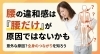 腰の違和感は腰だけが原因ではないかも「腰の違和感は“腰だけ”が原因ではないかも」