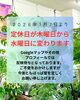 「【重要】2026年1月7日から定休日が水曜日に変わります」