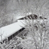 雪景色に包まれる冬の信夫温泉で、静けさと湯のぬくもりを【福島市桜本／信夫温泉】