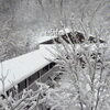 「雪景色に包まれる冬の信夫温泉で、静けさと湯のぬくもりを【福島市桜本／信夫温泉】」