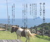 「新年あけましておめでとうございます。」