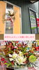 「今年もよろしくお願い致します」