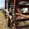 新年明けましておめでとうございます🐴