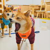 うめちゃん「今日のお友達」