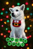 「Dog salon mofu mofu　余市町」