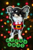 「Dog salon mofu mofu　余市町」