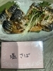 白米と最高な組み合わせ塩さば「1/9 おかんのごはん」