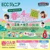 春の4回プログラム＆春の入学キャンペーンのご案内