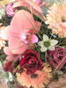 かわいいポンポンガーベラ 入荷しました | flower shop NaRan（ナラン