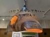 「けやきのランプカバーが仲間入り（広島市コロリトゥーラ）」