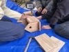 巣箱作り体験「体験プラン」