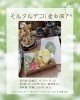 可愛いガーデンクラフト～モルタルデコ（全6回） | JEUGIAカルチャー