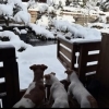 積もったね⛄️