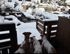 「積もったね⛄️」