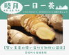 【一日一養】賢い生姜の使い分け「【茅場町駅すぐ】一日一養「ゆず」の力で冬を健やかに」