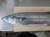 京都舞鶴の寒サワラ「舞鶴寒サワラ」