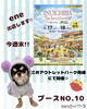 「INUICHIBA Selections+に出店します🐶」