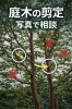 「庭木の剪定、「この枝切っていい？」と迷ったら写真で相談できます」