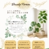 〜わたしの時間が誰かの癒しに変わる〜 自分磨きと癒しのダブル体験 Beauty Forumのお知らせ