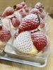 旬の🍓たっぷり！甘さ控えめのクリーム「白いいちごが主役！紅白いちごタルト＆ショートができました」
