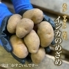 「最高に美味しい！越冬インカの秘密🤫」