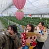 1月限定・一番甘いいちごのひみつ🍓