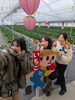 ここでしかできない貴重な貴重な体験「1月限定・一番甘いいちごのひみつ🍓」