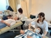 グループ開催の様子「あたまほぐしスクール個別開催スタートします！【岡山市中区桑野よもぎ蒸しハウス～結～】」