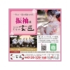 一生に一度の晴れの日、想いを纏う「一生に一度の晴れの日を振袖で　レンタル・購入ご相談ください」