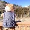 「南木曽地域の伝統工芸品『なぎそねこ』入荷します！道の駅木曽福島」