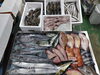 令和8年1月18日店内「📣本日のお魚情報🐟」