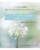 「＊　まいぷれからも無料相談コーナーへ質問を送っていただけます！」
