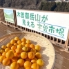 「柑橘類の種類が豊富！道の駅木曽福島」