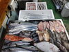 令和8年1月19日店内「📣本日のお魚情報🐟」