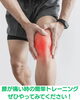 膝の痛みを快適な毎日へ導く「自宅でできる膝痛ケア動画と腰痛専門整体のご案内」