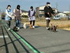 「ワンちゃんと一緒にお散歩のお仕事をしませんか？【江南市/就労B型/ワークシップ江南/セラピードッグ】」