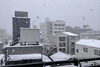 「1月20日、今日は何の日　　八王子市片倉町の個別指導学習塾『和泉学習研究所』～中高受験からその先の未来までサポート～」
