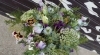 パンジーが花束に「パンジーを」