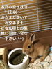 「本日の空き状況のお知らせ!」