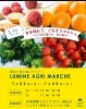 色とりどみの豊作! 旬の誘惑 invernoマルシェ「1/22〜25 LUMINE AGRI MARCHEに出店します！」