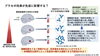 「脳の「報酬回路」を刺激するとワクチンの抗体が増える？―最新研究のご紹介」