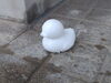 ひよこ「吹雪でしたね～」