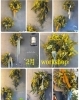 ミモザ wreathsとブーケ「2月ミモザの春リースworkshopのお知らせ」