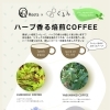 【ハーブ香る焙煎COFFEEのご案内】くるみRelux Room／甲賀市